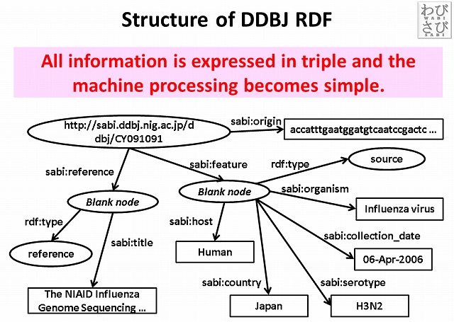 Structure of DDBJ RDF.jpg