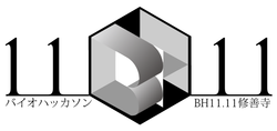 BH11.11 logo1.png